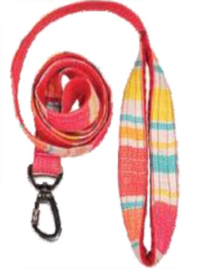 Pet Leash 2